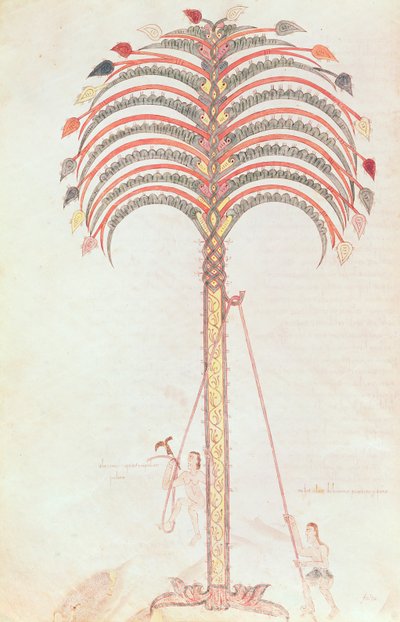 The Metaphor of the Palm Tree, from the Girona Beatus by Spanish School